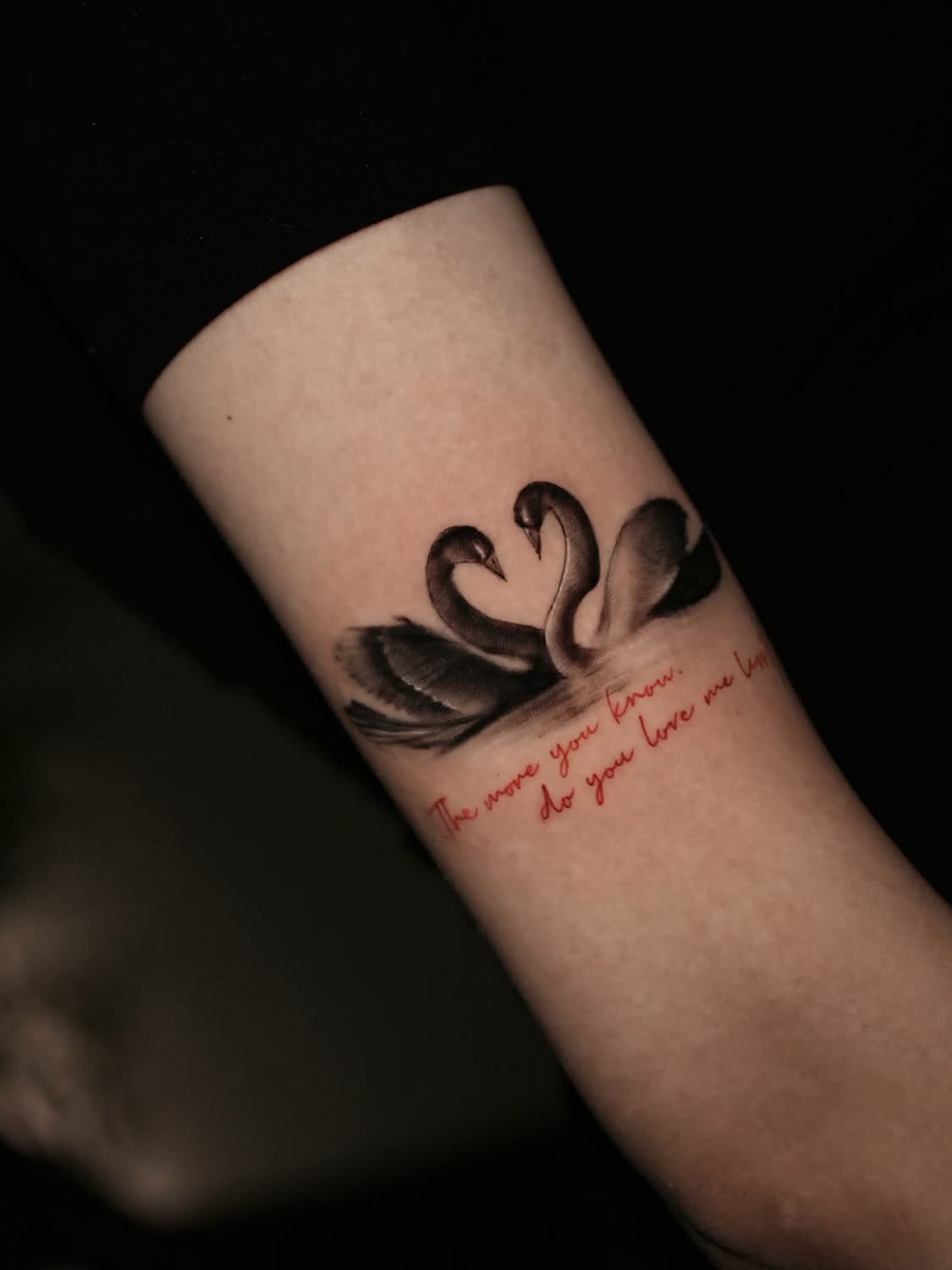 Two swans forming a heart with red script, fine line