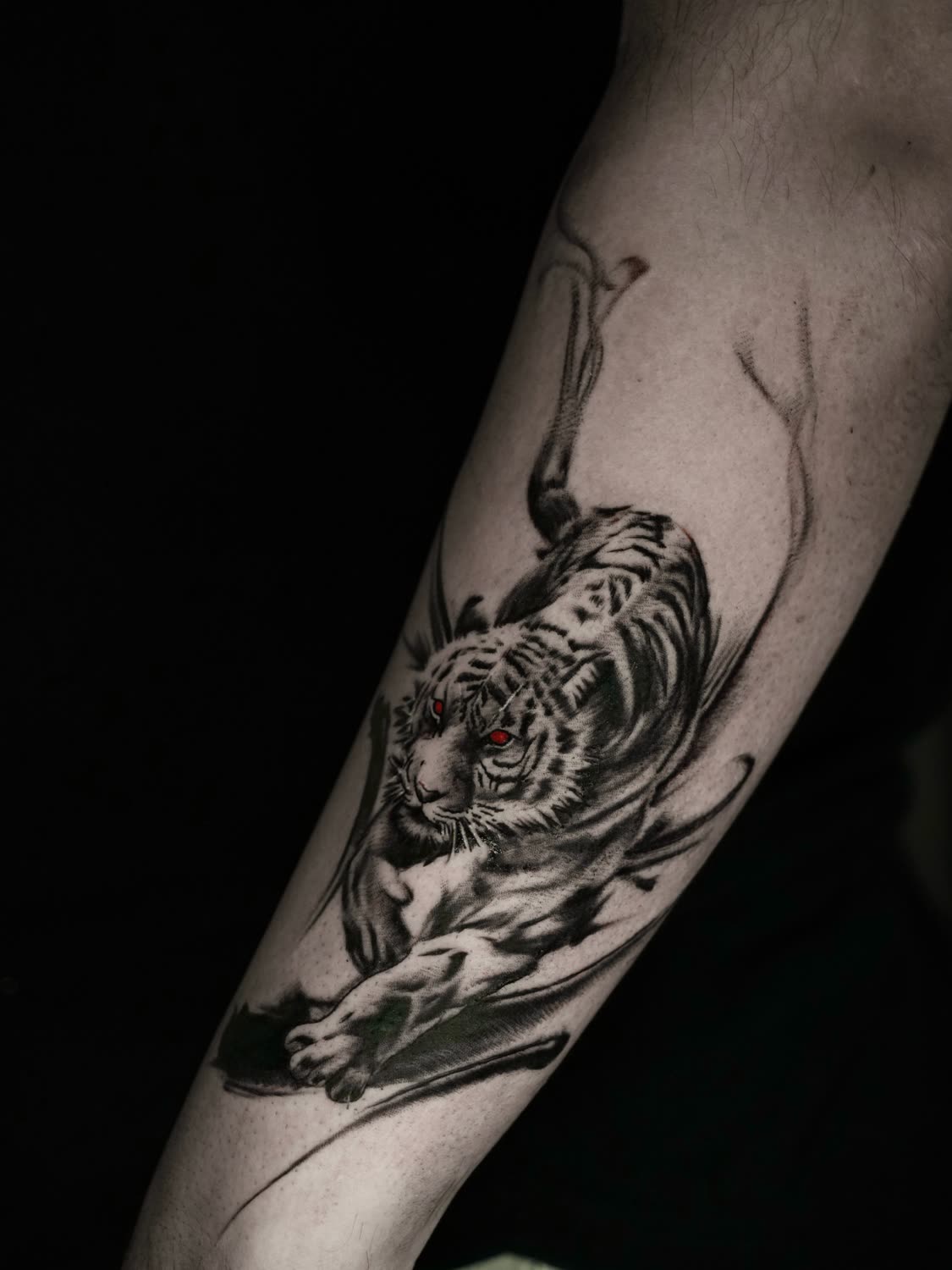 Crouching white tiger with red eyes, ink-wash black and grey