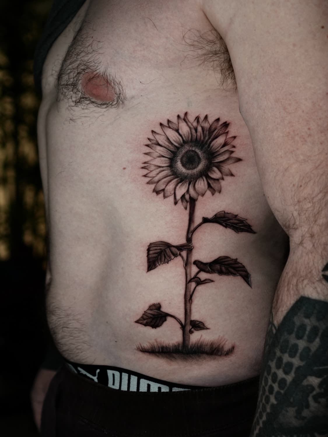 Sunflower with stem, black and grey fine line